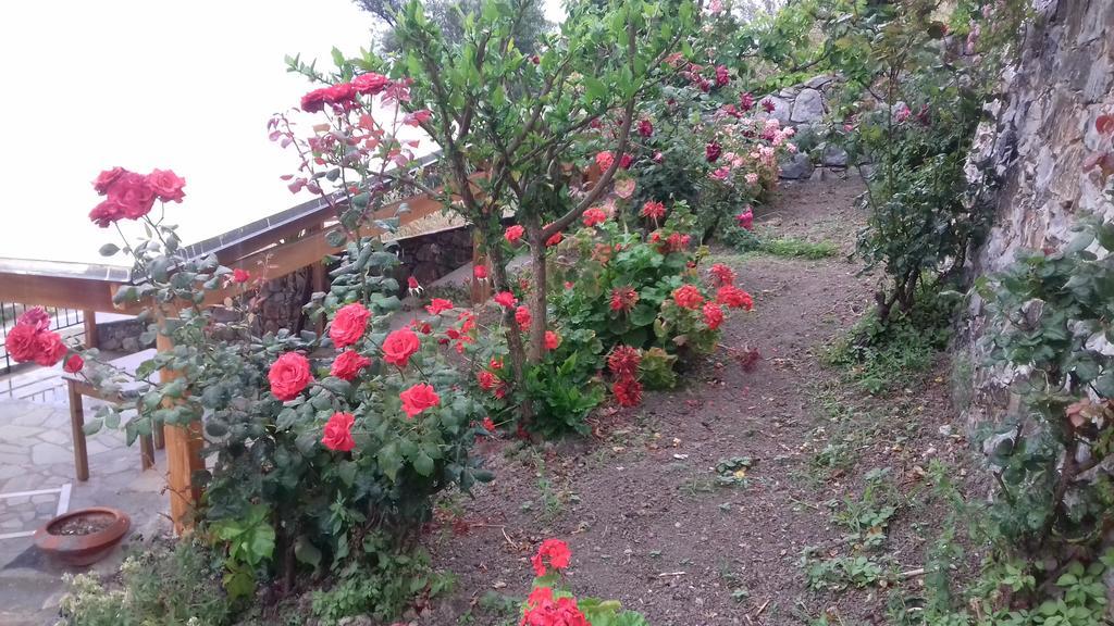 Irida Aparthotel Georgioupoli Ngoại thất bức ảnh